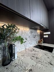 Tembusu Grand (D15), Condominium #579846691